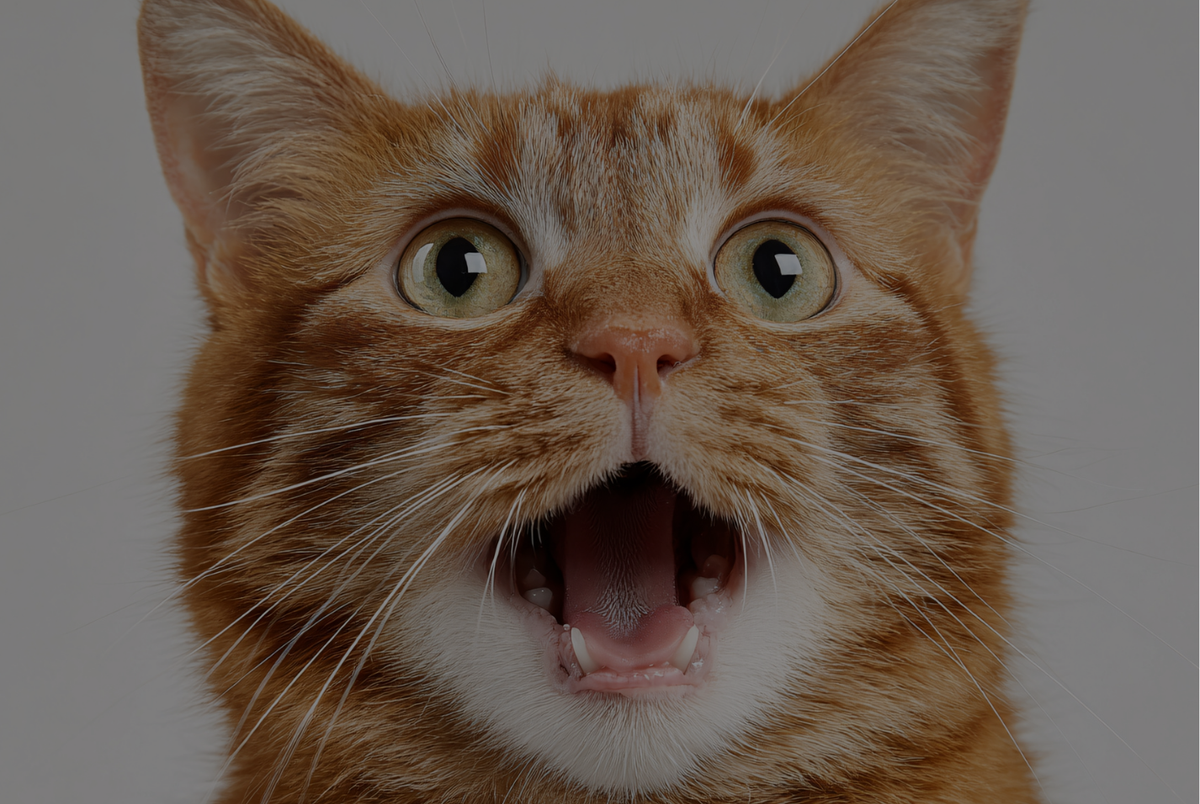 Gestão de Crises e Reputação em Tempo Real